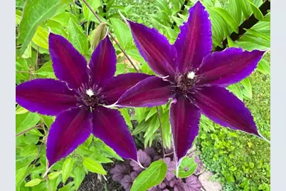 8911 Ramble Road, Wonder Lake, IL 60097 - Photo 25