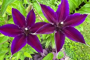 8911 Ramble Rd, Wonder Lake, IL 60097 - Photo 25