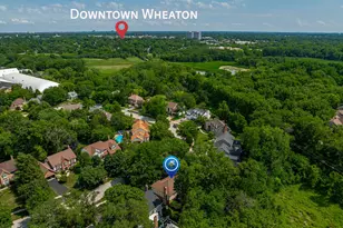 1310 Champion Forest Ct, Wheaton, IL 60187 - Photo 43