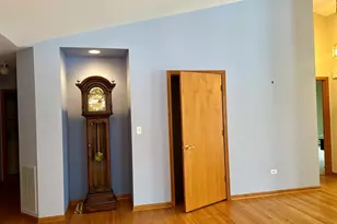 11904 Somerset Rd, Orland Park, IL 60467 - Photo 9