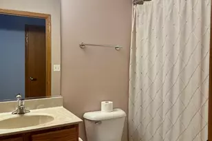 11904 Somerset Rd, Orland Park, IL 60467 - Photo 27