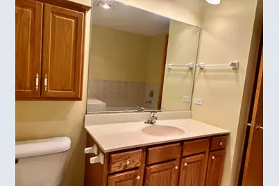 11904 Somerset Road, Orland Park, IL 60467 - Photo 25