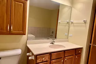 11904 Somerset Rd, Orland Park, IL 60467 - Photo 25