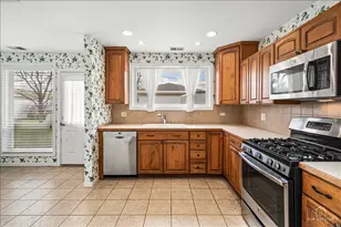 1028 W Villa Dr, Des Plaines, IL 60016 - Photo 9