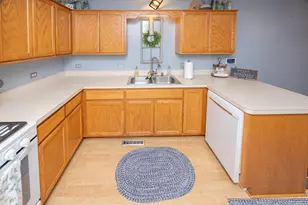 1438 Coral Bell Dr, Joliet, IL 60435 - Photo 9