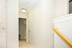 219 River Front Dr, Mount Prospect, IL 60056 - Photo 13