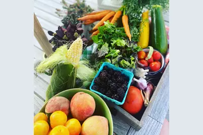 1571 Amos Bennett Street, Grayslake, IL 60030 - Photo 33