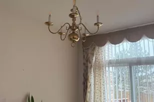 1298 Leonard Dr, Schaumburg, IL 60193 - Photo 5