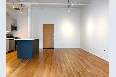 420 S Clinton Street #110A, Chicago, IL 60607 - Photo 5