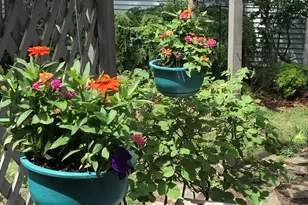 1623 Madison St, Evanston, IL 60202 - Photo 27