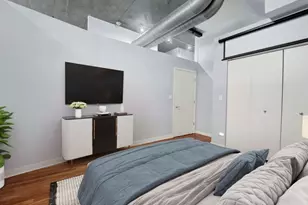 1069 W 14th Pl, Chicago, IL 60608 - Photo 11