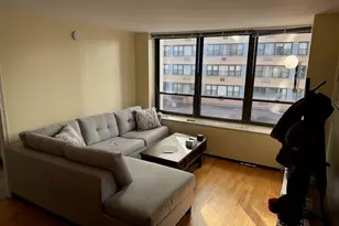 222 E Pearson St, Chicago, IL 60611 - Photo 5