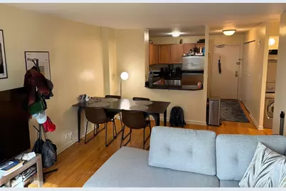 222 E Pearson Street #303, Chicago, IL 60611 - Photo 7