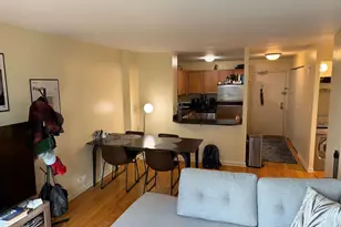 222 E Pearson St, Chicago, IL 60611 - Photo 7