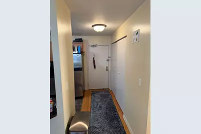 222 E Pearson Street #303, Chicago, IL 60611 - Photo 11