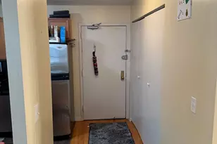 222 E Pearson St, Chicago, IL 60611 - Photo 11