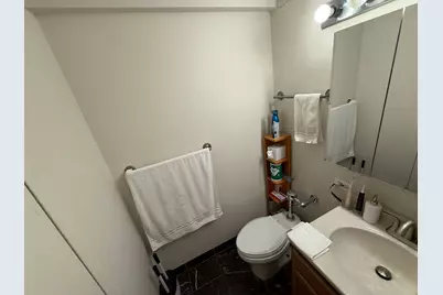 222 E Pearson Street #303, Chicago, IL 60611 - Photo 19