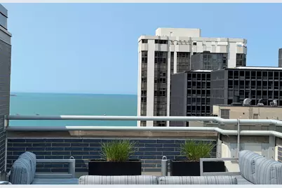 222 E Pearson Street #303, Chicago, IL 60611 - Photo 23