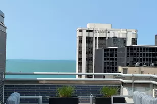 222 E Pearson St, Chicago, IL 60611 - Photo 23