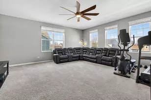 26525 W Old Stage Ln, Channahon, IL 60410 - Photo 23