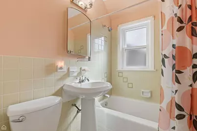 609 N Hamlin Avenue, Park Ridge, IL 60068 - Photo 19