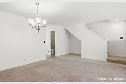 593 Treble Lane, Volo, IL 60073 - Photo 7