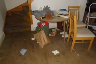 302 161st St, Calumet City, IL 60409 - Photo 21