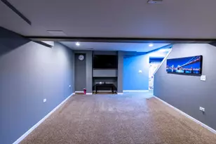 25037 Brett St, Plainfield, IL 60544 - Photo 31