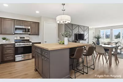 410 W Mueller Street, Arlington Heights, IL 60004 - Photo 9