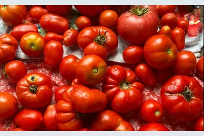 25812 91st Street, Salem, WI 53168 - Photo 55