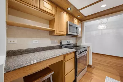 540 Biesterfield Road #305, Elk Grove Village, IL 60007 - Photo 9
