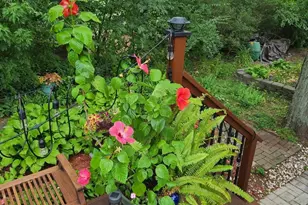 300 Harper Ct, Normal, IL 61761 - Photo 47