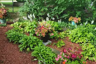 300 Harper Ct, Normal, IL 61761 - Photo 45