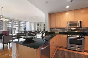 250 E Pearson St, Chicago, IL 60611 - Photo 5