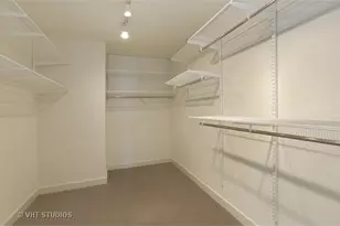 250 E Pearson St, Chicago, IL 60611 - Photo 11