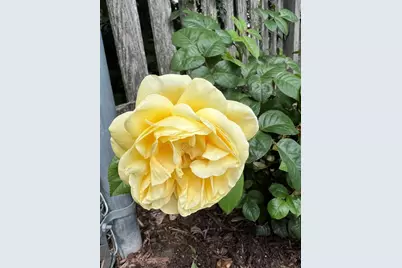 3195 Village Green Drive, Aurora, IL 60504 - Photo 35