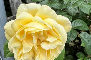 3195 Village Green Dr, Aurora, IL 60504 - Photo 35