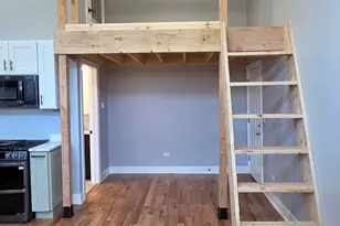 831 S Western Ave, Chicago, IL 60612 - Photo 11