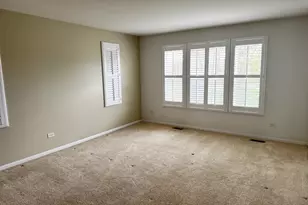 24358 Leski Ln, Plainfield, IL 60585 - Photo 9