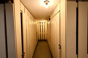 10111 Old Orchard Ct, Skokie, IL 60076 - Photo 13