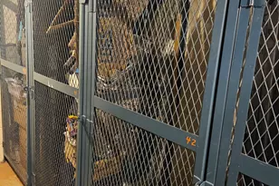 1717 W Crystal Ln, Mount Prospect, IL 60056 - Photo 29