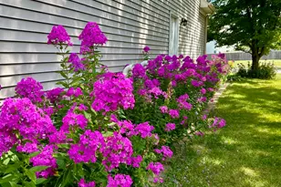 12937 Grande Poplar Cir, Plainfield, IL 60585 - Photo 71