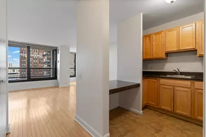 1030 N State Street #5M, Chicago, IL 60610 - Photo 5