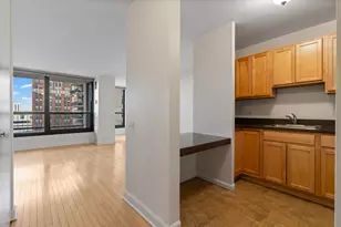 1030 N State St, Chicago, IL 60610 - Photo 5