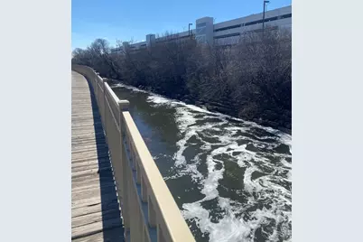 10114 Devon Court, Rosemont, IL 60018 - Photo 29