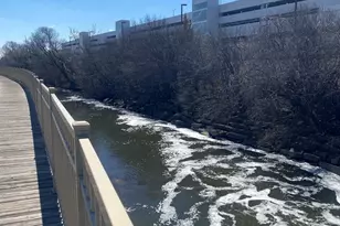 10114 Devon Ct, Rosemont, IL 60018 - Photo 29