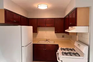 1303 N Baldwin Ct, Palatine, IL 60074 - Photo 11