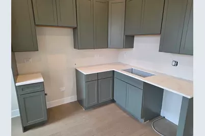 3216 S Morgan Street #4F, Chicago, IL 60608 - Photo 5
