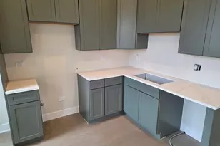 3216 S Morgan St, Chicago, IL 60608 - Photo 5