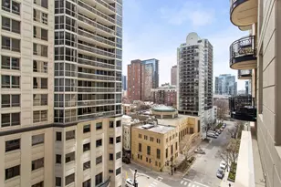 10 E Delaware Pl, Chicago, IL 60611 - Photo 15